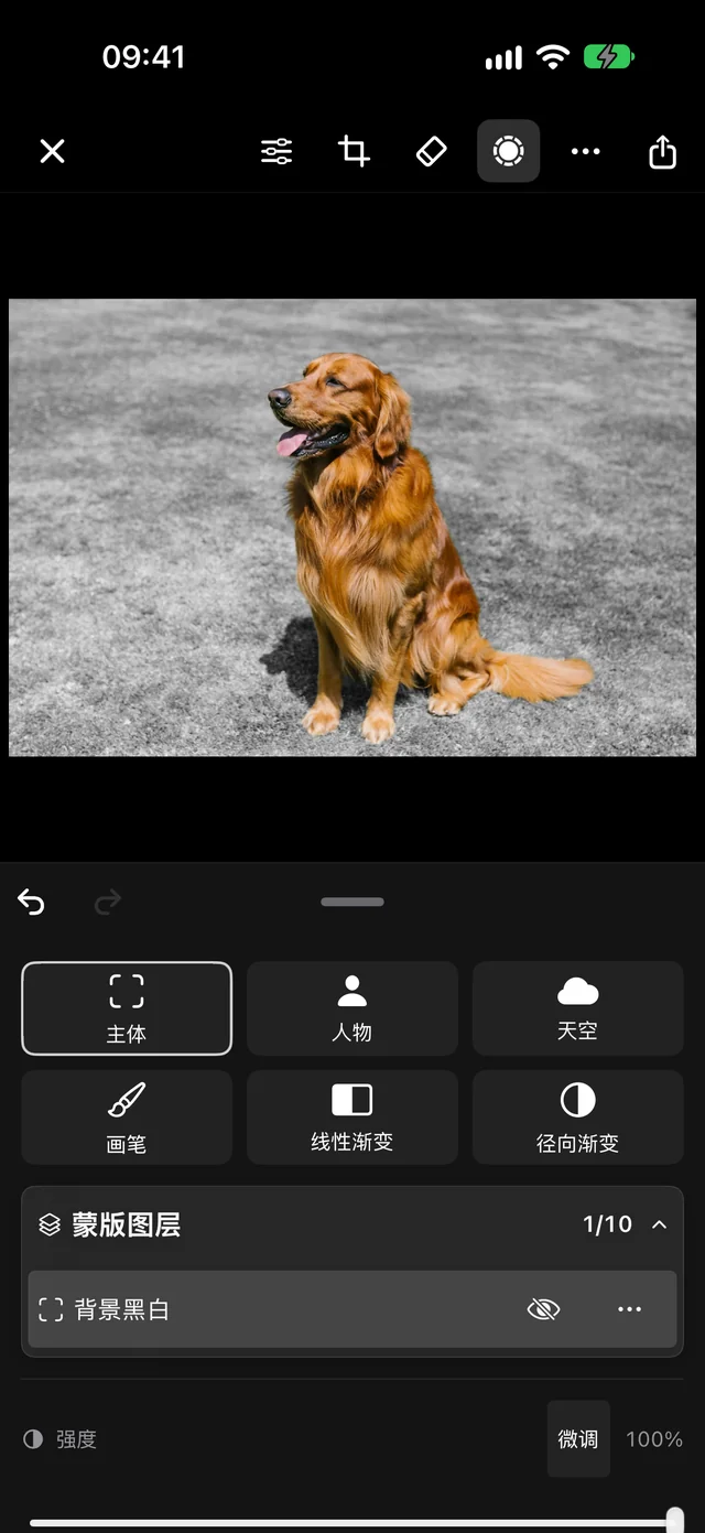 PhotoPeaks 在 iPhone 上编辑照片的真实界面