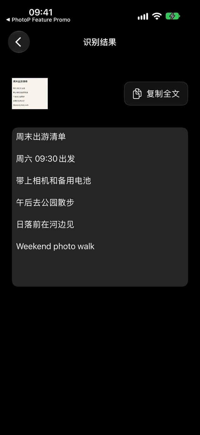 PhotoPeaks 文字识别工具界面
